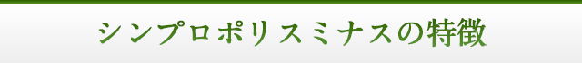 シンプロポリスミナスの特徴